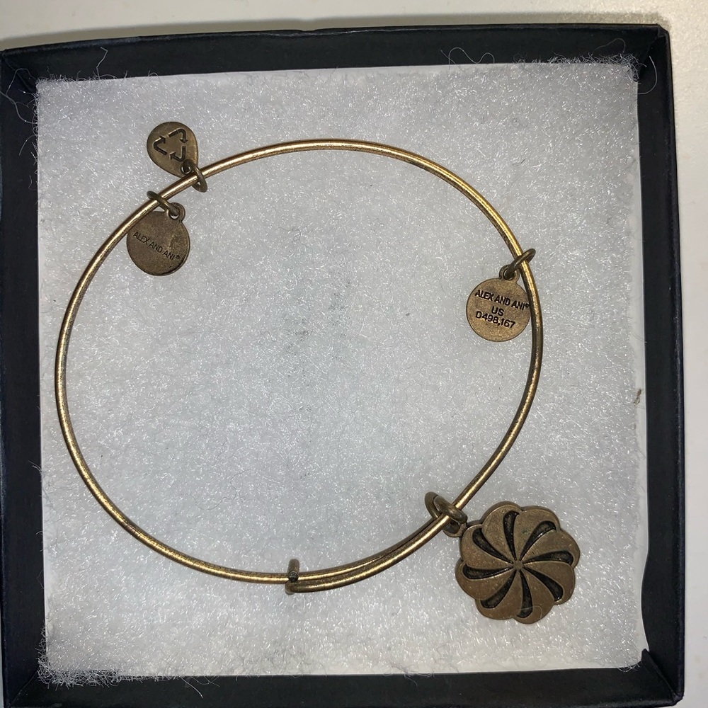 Gold Alex and Ani Bangle